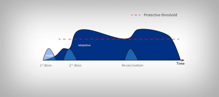 atrophic-rhinitis-pigs-5