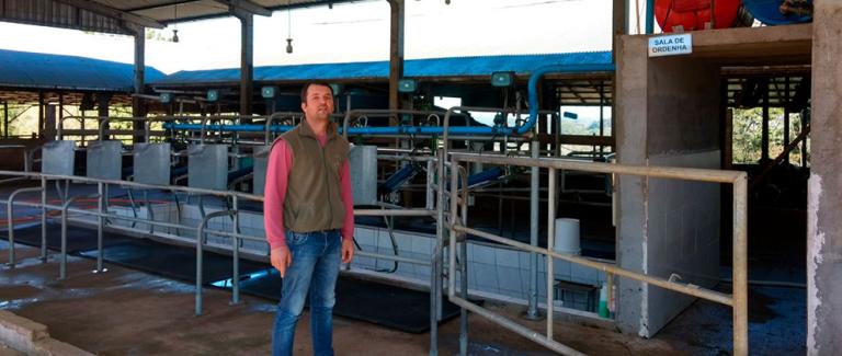 caso-de-sucesso-contra-mastite-em-vacas-leiteiras-granja-michelon2