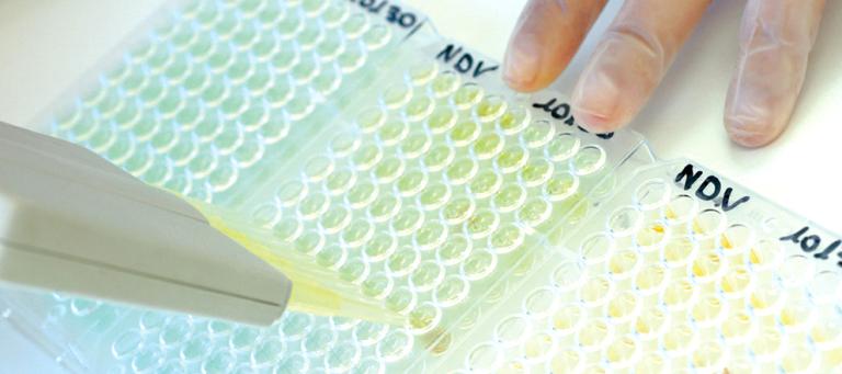 wallpaper_prevention5