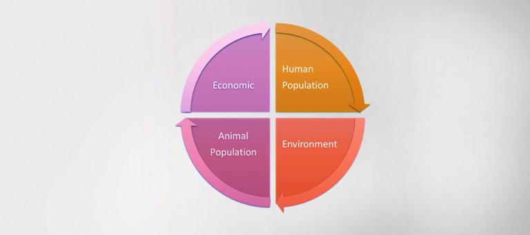 Dealing-with-coccidiosis-by-reducing-the-use-of-antibiotics
