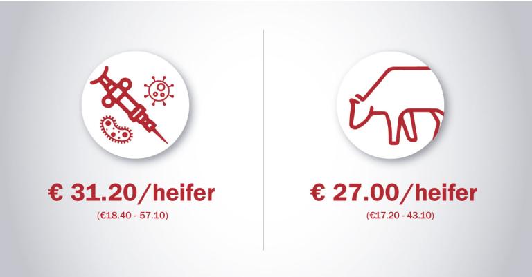 BRD: Protection against Bovine Respiratory Disease