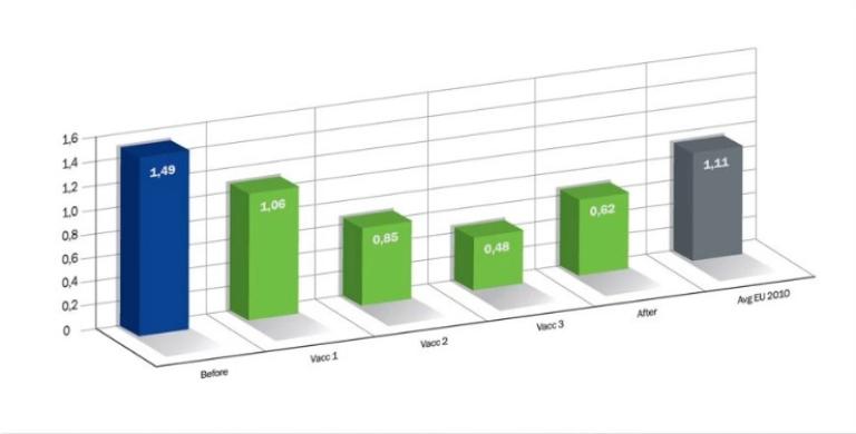 Objective_assessment