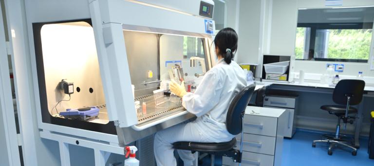 Using HIPRABOVIS® SOMNI/LKT to control BRD in dairy calves: a field trial in Portugal