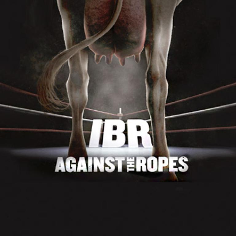 IBR AGAINST THE ROPES