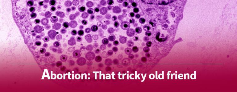 Banners-1stPage-INMEVA-1C