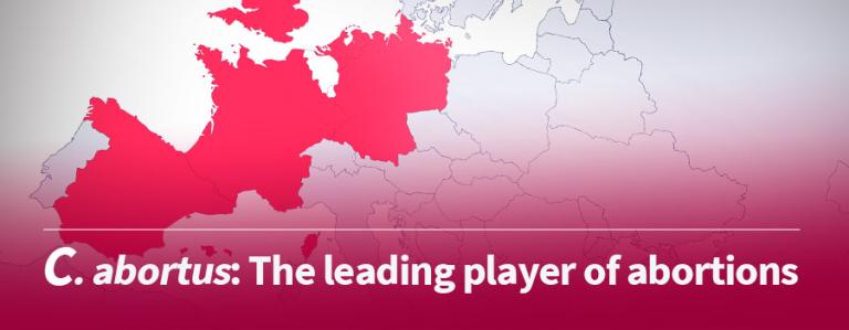 Banners-1stPage-INMEVA-2B