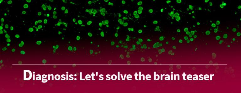 Banners-1stPage-INMEVA-3