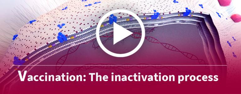 banner-Chlamydia-inactivation