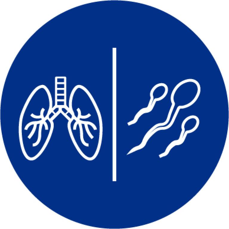 Reproductive-respiratory-50