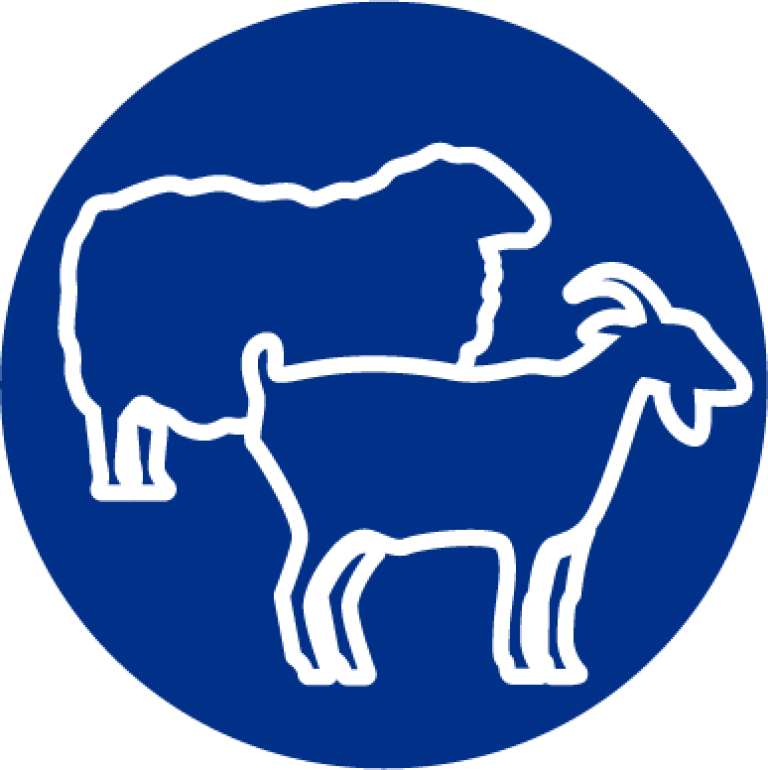 Digestive_neurological