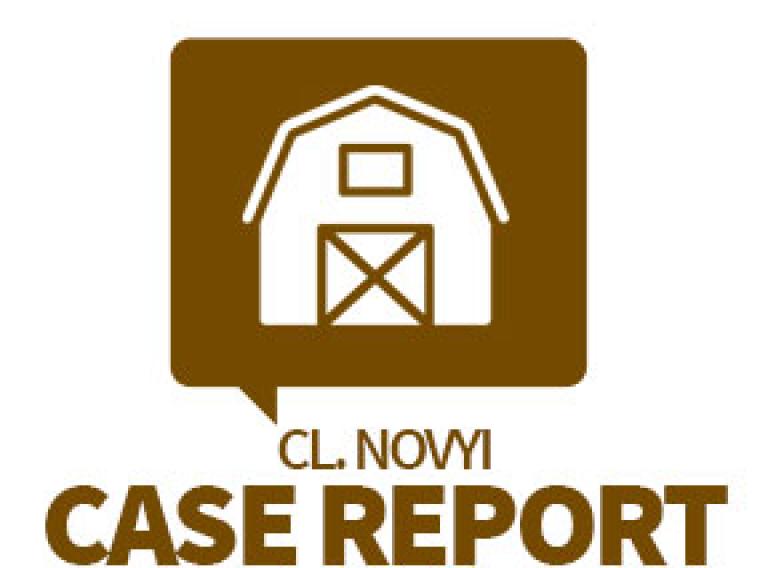 sow-mortality-publications-clostridium-novyi-CASE-REPORT-2
