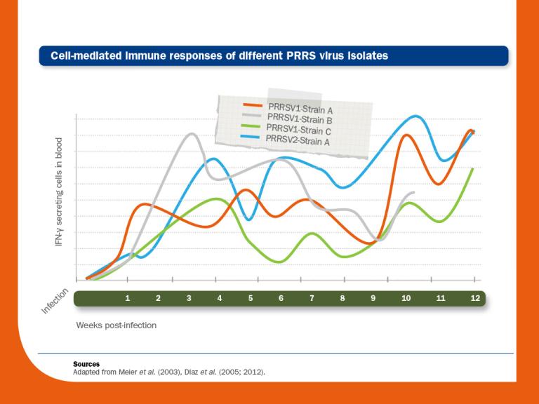 immune dysregulation