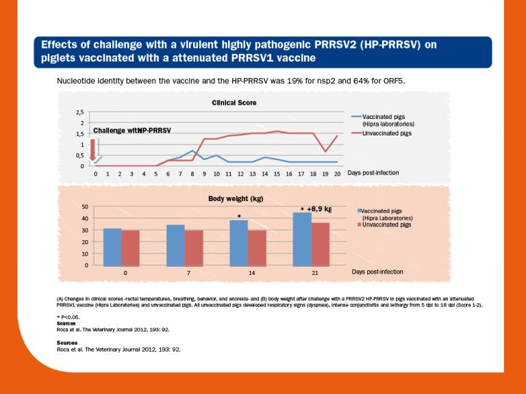 vaccinology piglets