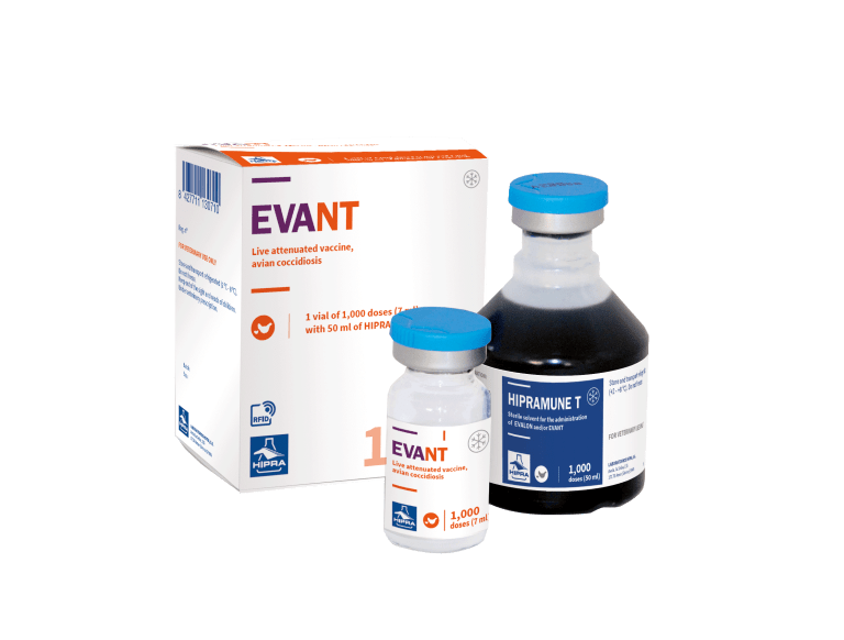 evant