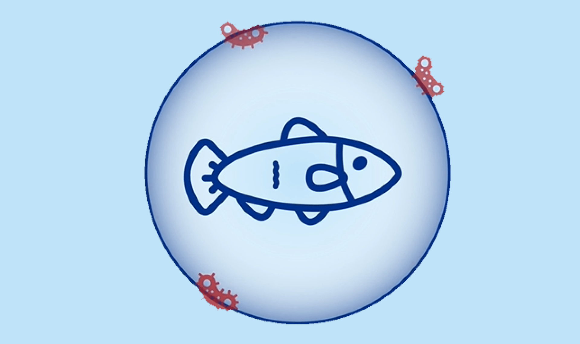 fish vaccination welfare immunisation