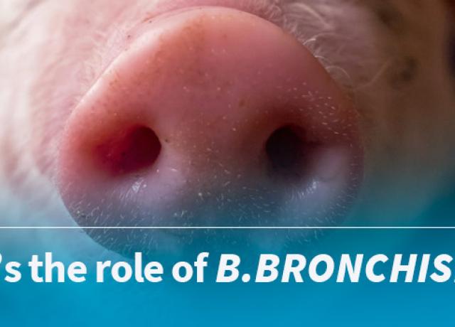 Banners-1stPage-RHINITIS-2B