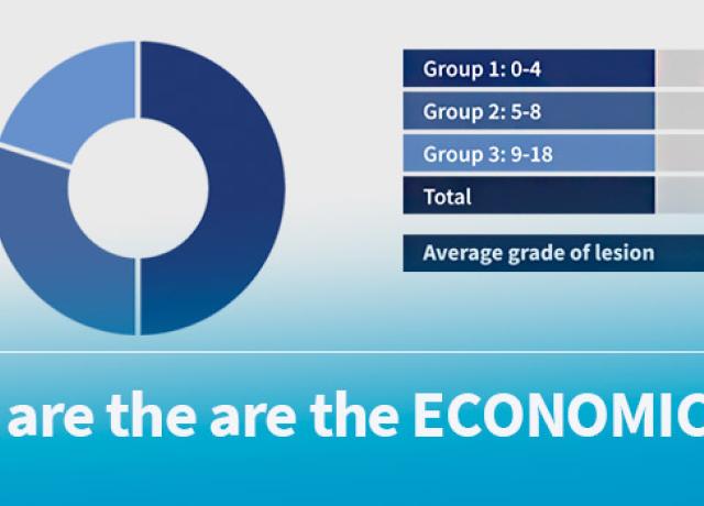 Banners-1stPage-RHINITIS-4B