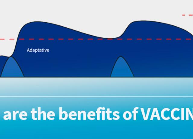 Banners-1stPage-RHINITIS-5B