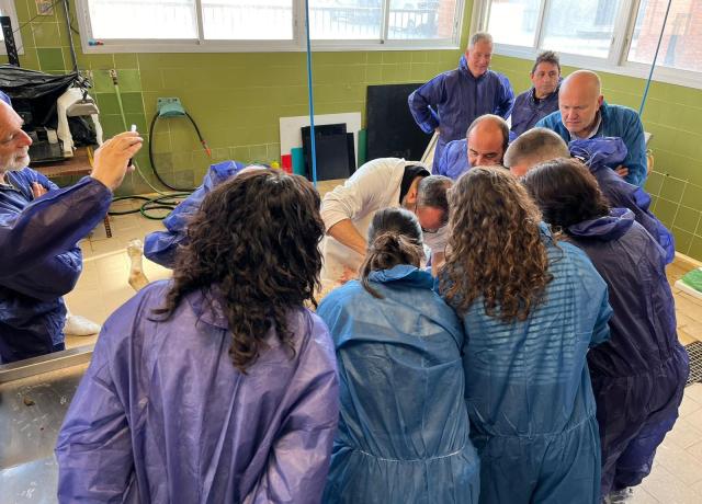 Master HIPRA Ruminants