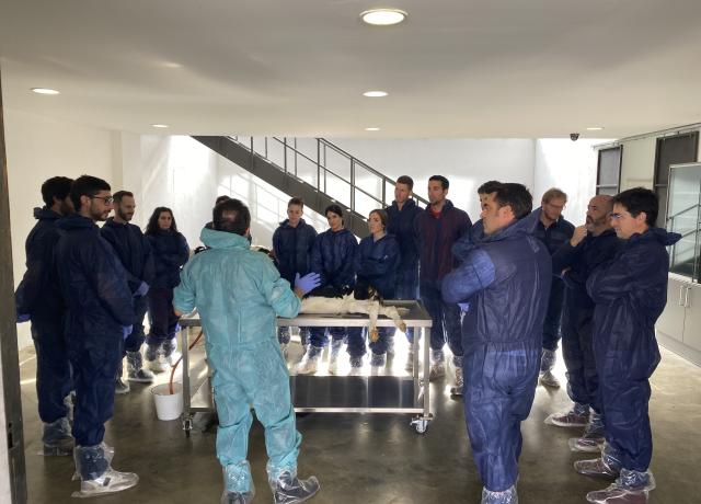 Master HIPRA Ruminants