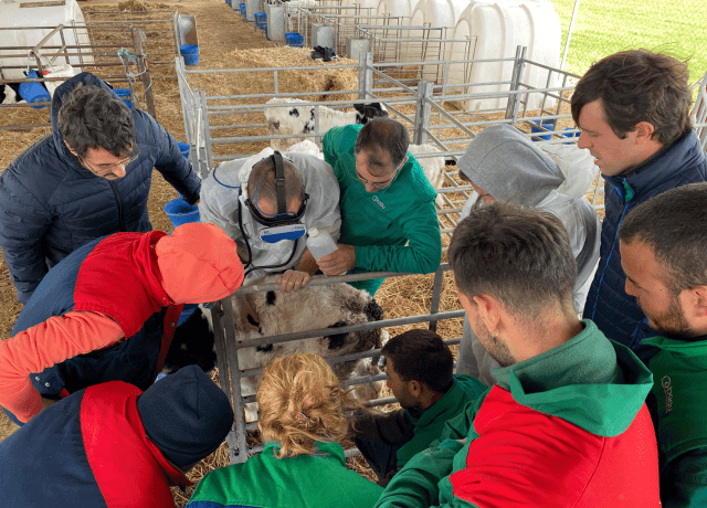 Master HIPRA Ruminants