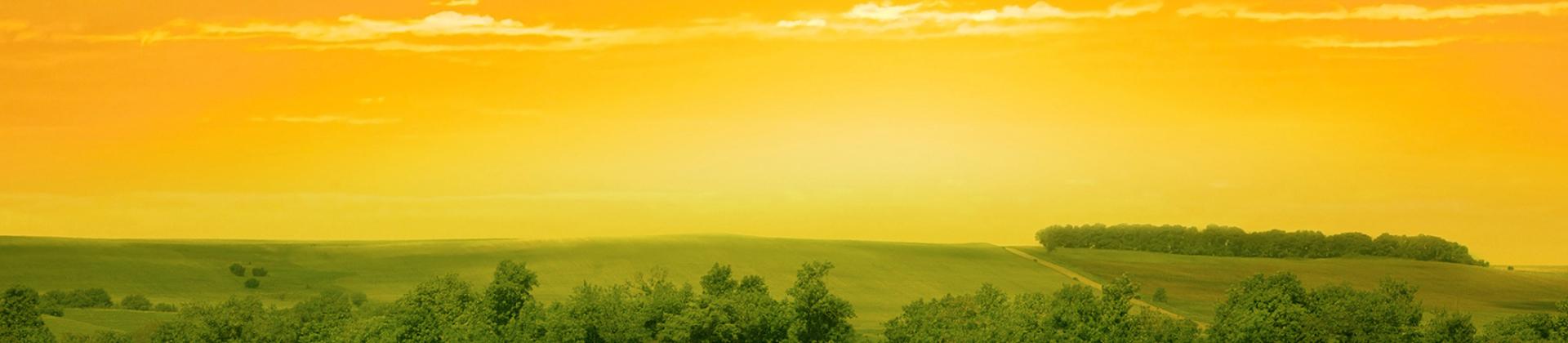 Header-Origins-Programme-by-HIPRA.jpeg Header-Origins-Programme-by-HIPRA