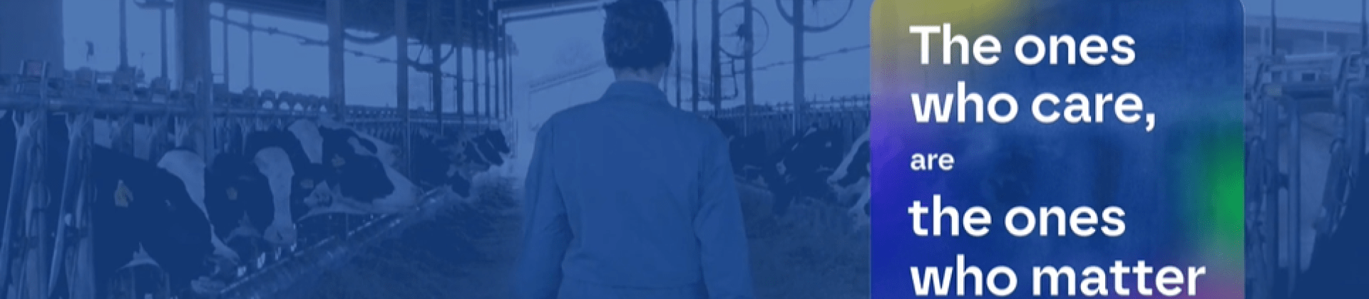 ruminants vaccination