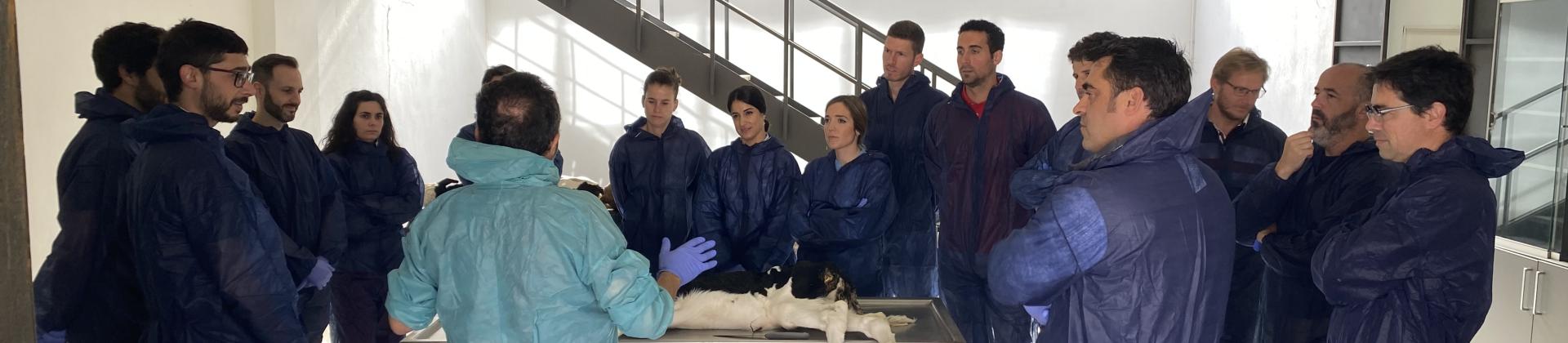 Master HIPRA Ruminants