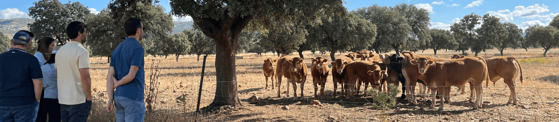 Master HIPRA Ruminants