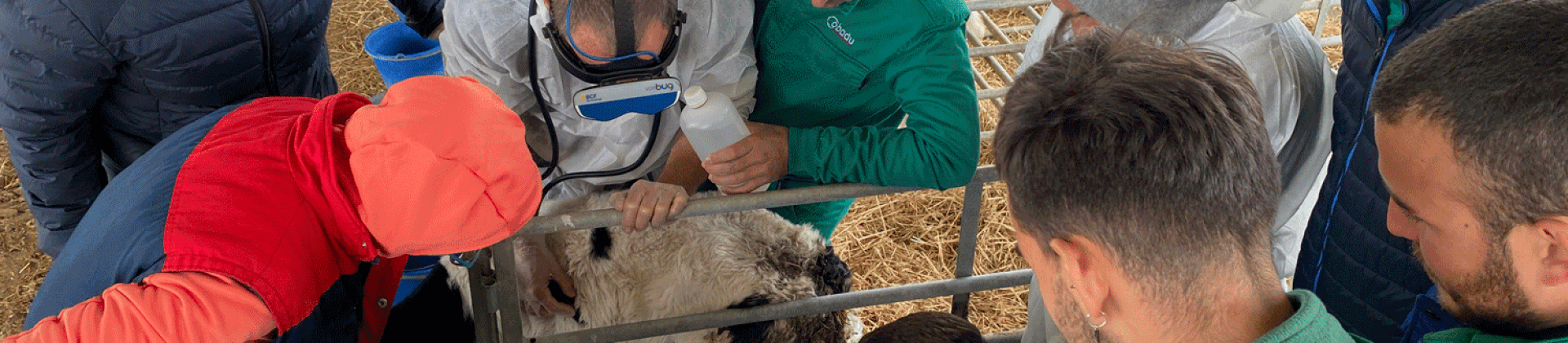 Master HIPRA Ruminants