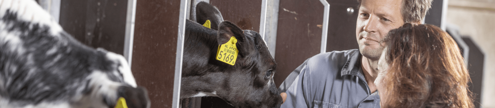 Denmark animal health HIPRA