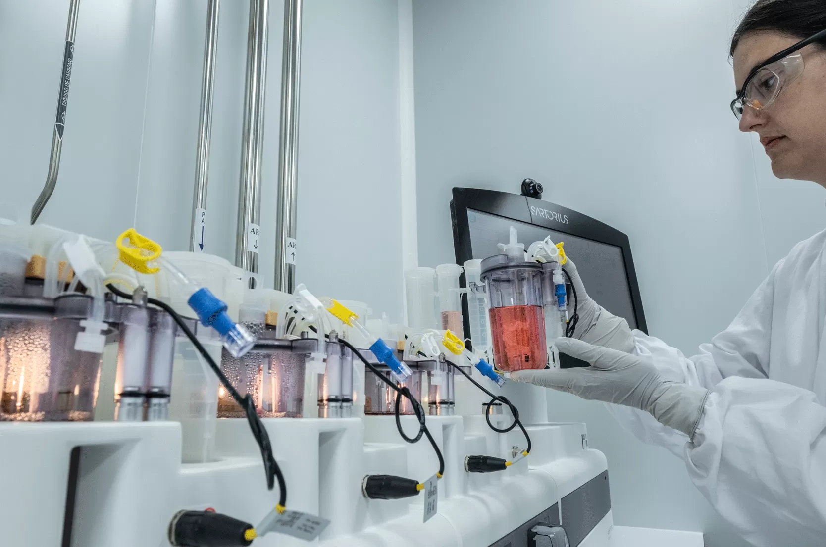 Biologics Cell Line and Strain Development