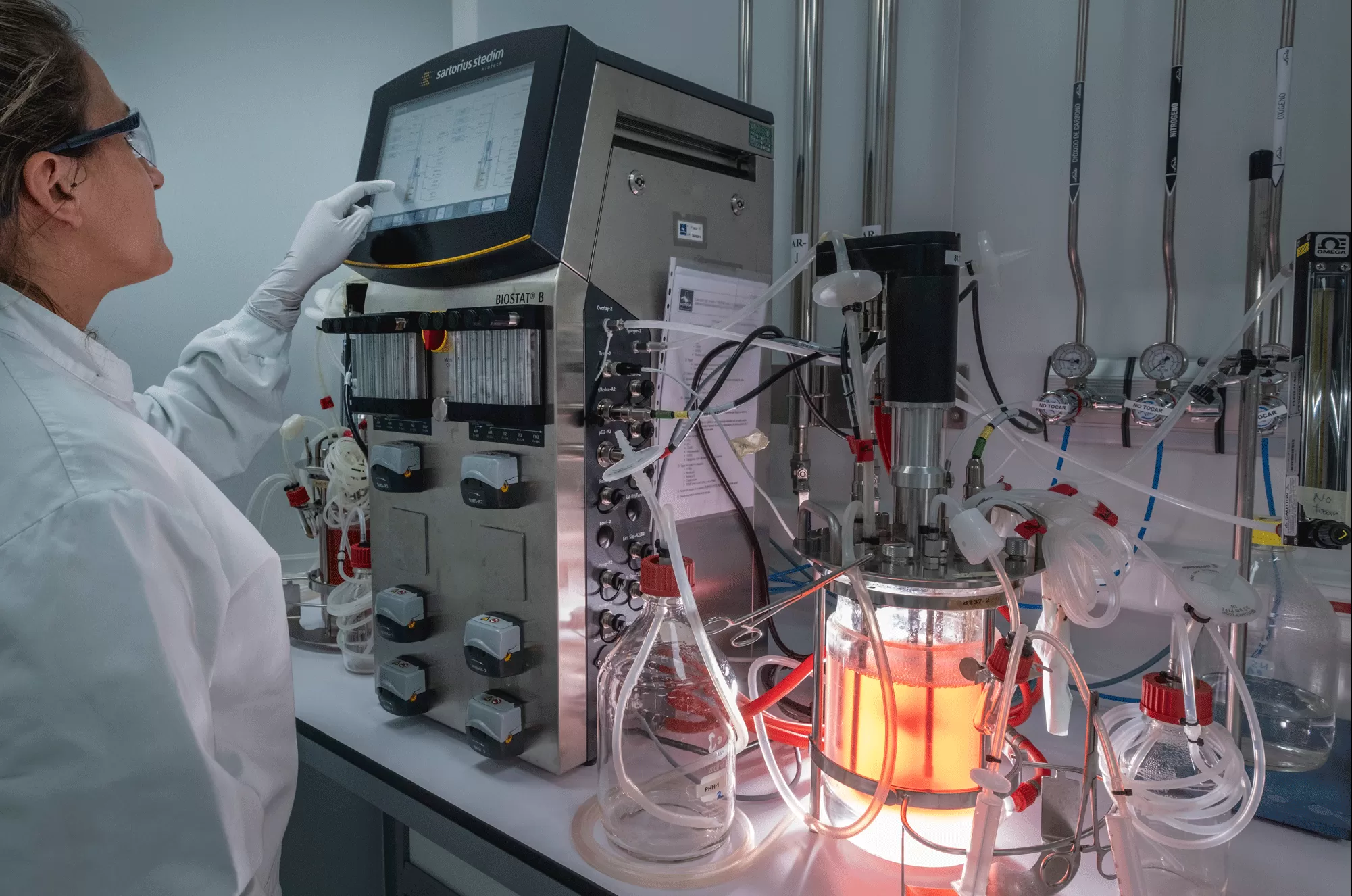 Process development and scale up