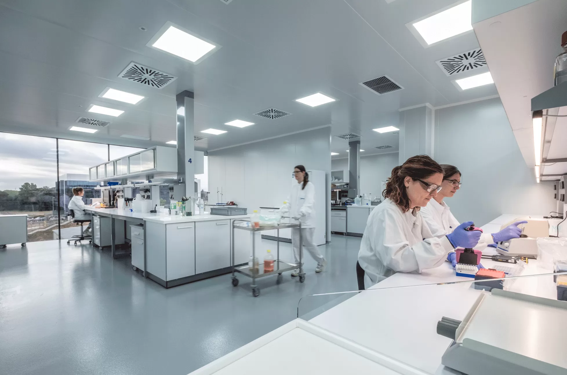 Process development and scale up